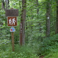 Down to Hawk Creek Gorge