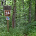 Down to Hawk Creek Gorge