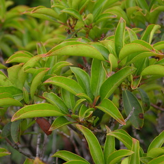 DSCN4744