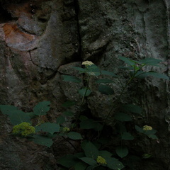 DSCN4765