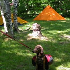 Dolly Copp Campground