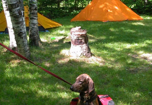 Dolly Copp Campground