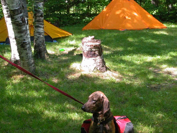 Dolly Copp Campground