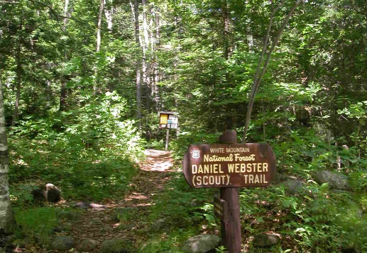 Daniel Webster (Scout) Trailhead