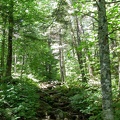 Daniel Webster (Scout) Trail