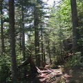 Daniel Webster (Scout) Trail