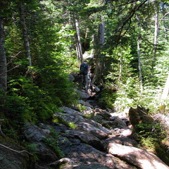 Daniel Webster (Scout) Trail