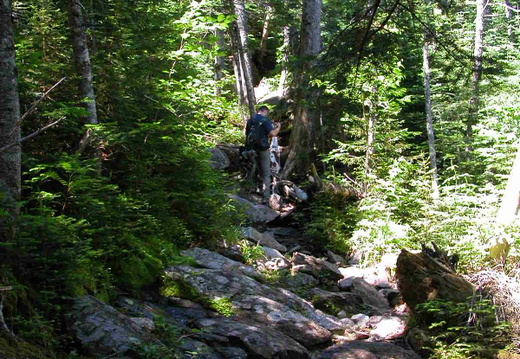 Daniel Webster (Scout) Trail