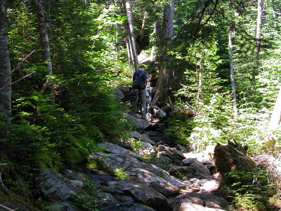 Daniel Webster (Scout) Trail