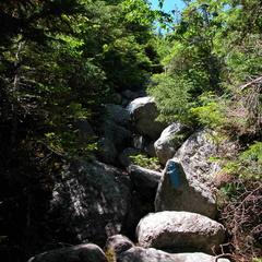 Daniel Webster (Scout) Trail