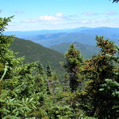 Daniel Webster (Scout) Trail