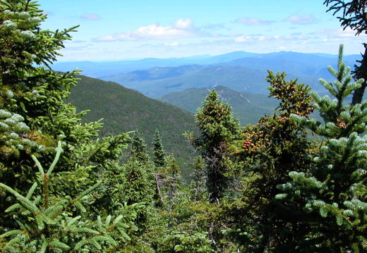 Daniel Webster (Scout) Trail