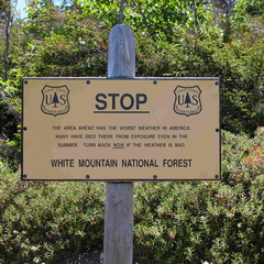 Alpine Zone on Daniel Webster (Scout) Trail