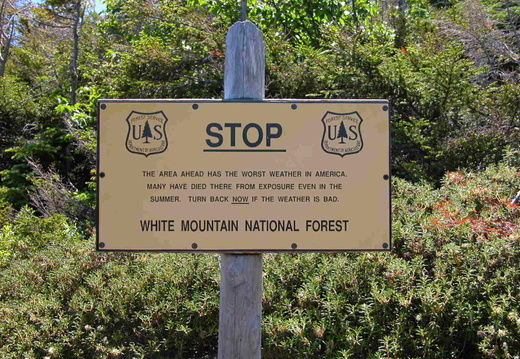Alpine Zone on Daniel Webster (Scout) Trail