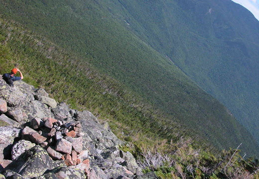 Alpine Zone on Daniel Webster (Scout) Trail