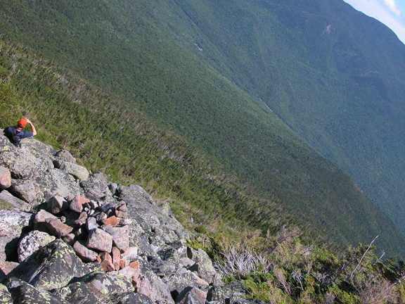 Alpine Zone on Daniel Webster (Scout) Trail