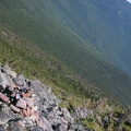 Alpine Zone on Daniel Webster (Scout) Trail