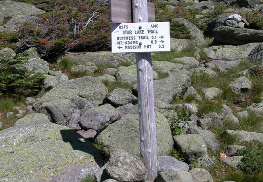 Between Madison Hut and Star Lake