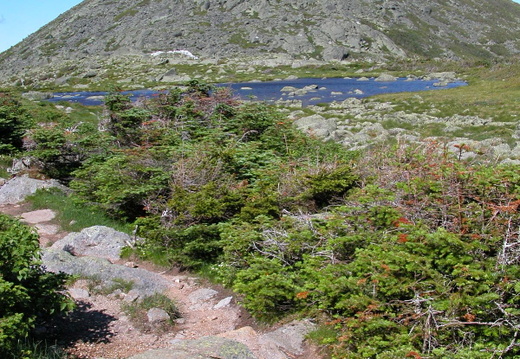 Star Lake Trail