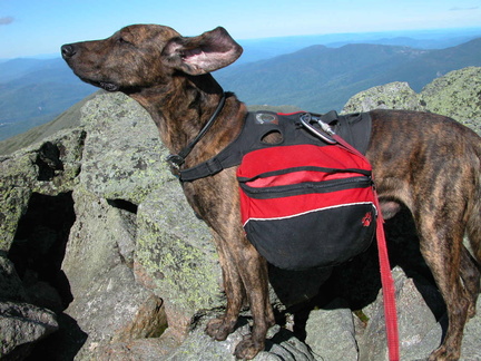 Mt. Adams Summit