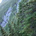 Madison Gulf Headwall