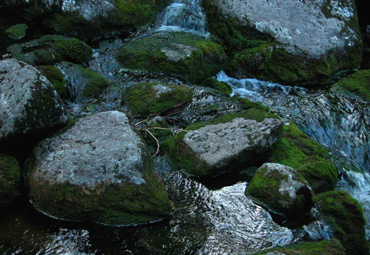 Parapet Brook