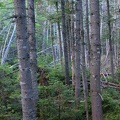 Madison Gulf Trail