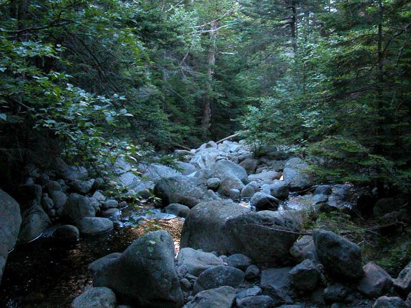 Parapet Brook