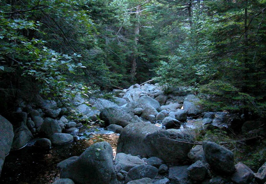 Parapet Brook