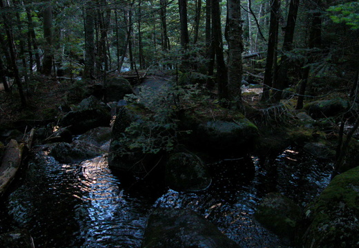 Parapet Brook