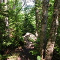 Boott Spur Trail to Mt. Washington