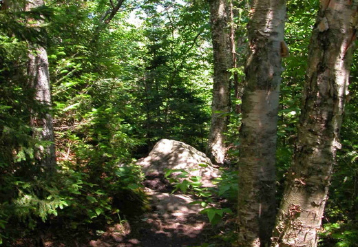 Boott Spur Trail to Mt. Washington