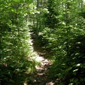 Boott Spur Trail