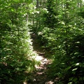 Boott Spur Trail