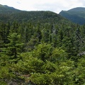 Boott Spur Trail