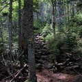 Boott Spur Trail