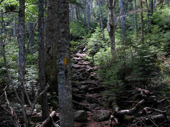 Boott Spur Trail
