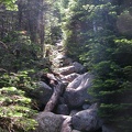 Boott Spur Trail