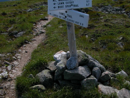 Camel Trail intersects Davis Path