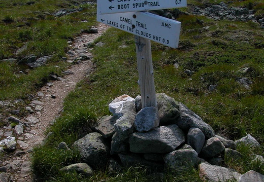 Camel Trail intersects Davis Path