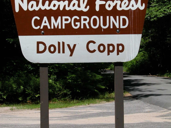 Dolly Copp