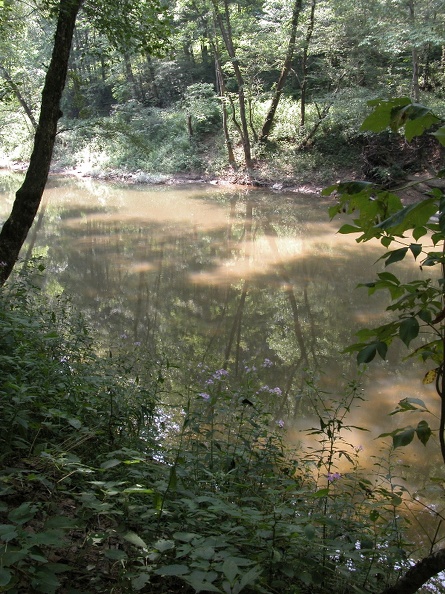 Sun 31 Jul 2005 01:42:44 PM EDT