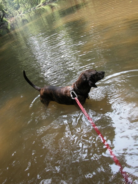 Sun 31 Jul 2005 01:44:26 PM EDT