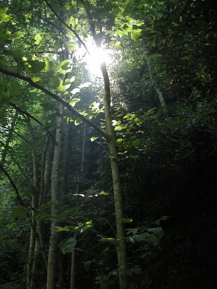 Sun 31 Jul 2005 02:40:29 PM EDT