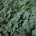 Sat 10 Sep 2005 04:34:58 PM EDT