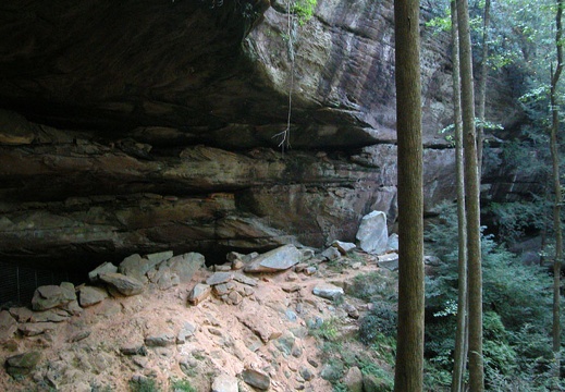 September 10: Martin's Fork, Red River Gorge