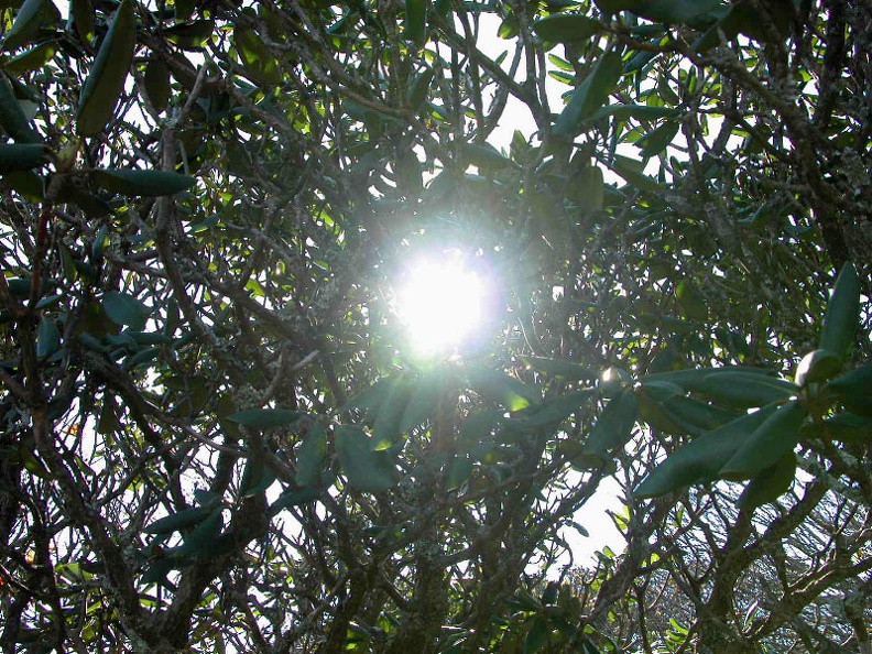 Sun 23 Oct 2005 01:59:20 PM EDT