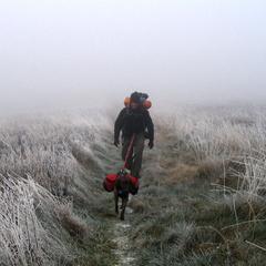 Boyd up to Hump Mountain