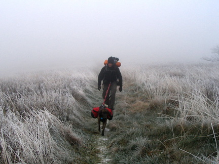 Boyd up to Hump Mountain