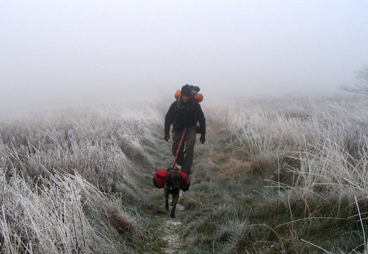 Boyd up to Hump Mountain